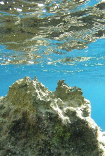 Komiza / Ocean Great Ideas