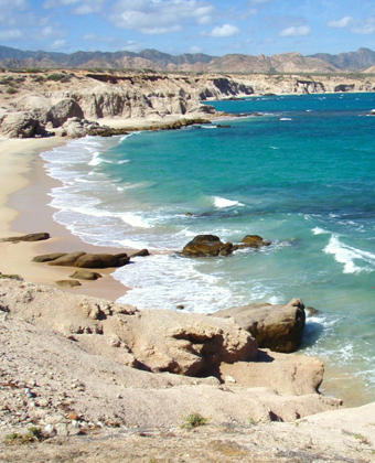 Cabo Pulmo National Marine Park, Mexico / Ocean Great Ideas