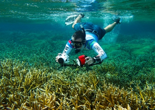 Unique Coral Reef Receives Federal Protection in Honduras / Ocean Great Ideas