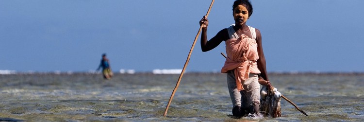 What we can learn from a World Conservation Congress on Locally Managed Marine Areas / Ocean Great Ideas