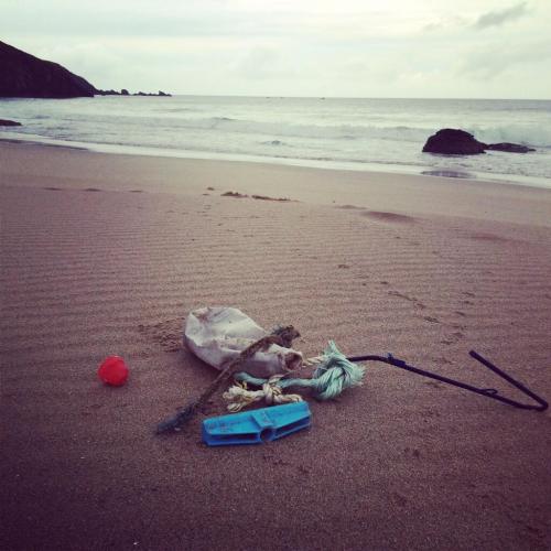 The 2 minute Beach Clean / Ocean Great Ideas