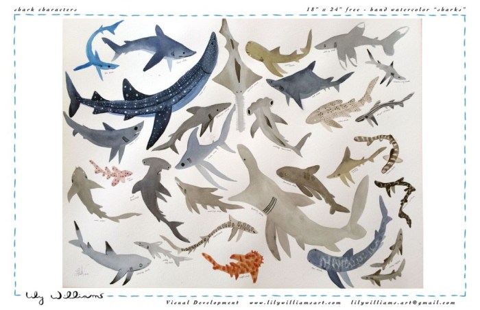 FINconceivable a beautiful kid friendly animated short documentary about Sharks and their role in the Ocean Ecosystem / Ocean Great Ideas