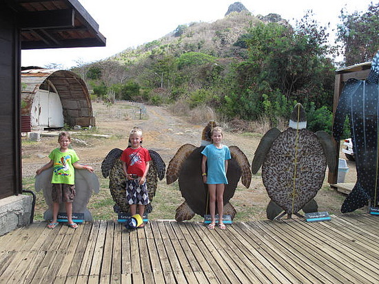 Educational Activities/ Fernando de Noronha Archipelago National Marine Park, Brazil / Ocean Great Ideas