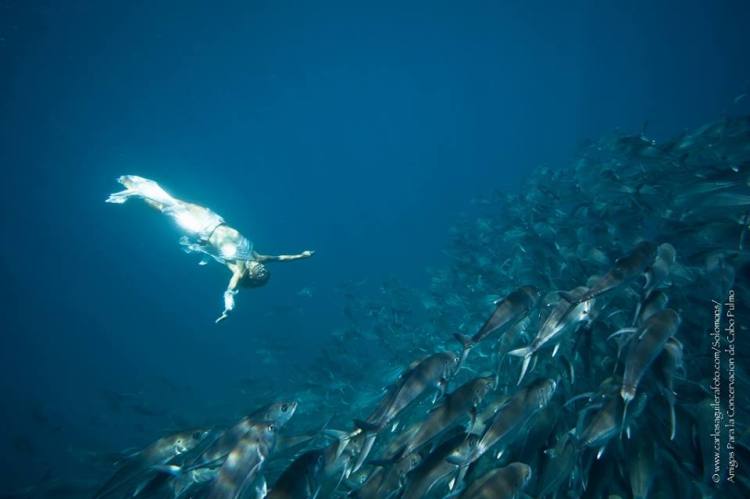 10628404_10152649070257603_1252821934463746575_n