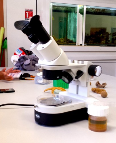 La Côte Bleue Educational Programs / Ocean Great Ideas