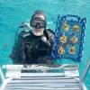 How a Florida Hero rebuilds endangered Coral Reefs / Ocean Great&nbsp;Ideas