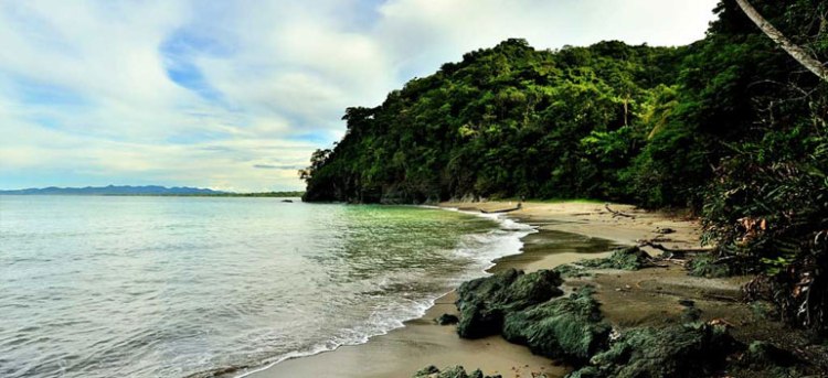 Colombia’s new National Park is a sanctuary for hawksbill and leatherback Turtles / Ocean Great Ideas