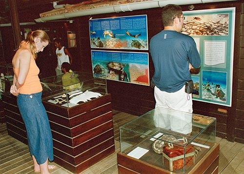 Educational Activities/ Fernando de Noronha Archipelago National Marine Park, Brazil / Ocean Great Ideas
