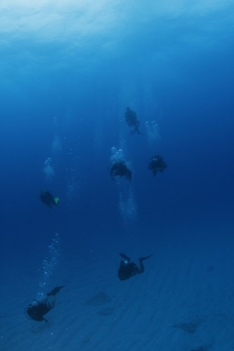 Fernando de Noronha Archipelago National Marine Park, Brazil / Ocean Great Ideas