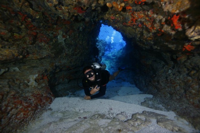 Fernando de Noronha Archipelago National Marine Park, Brazil / Ocean Great Ideas