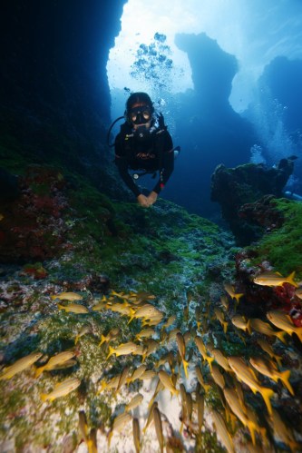 Fernando de Noronha Archipelago National Marine Park, Brazil / Ocean Great Ideas