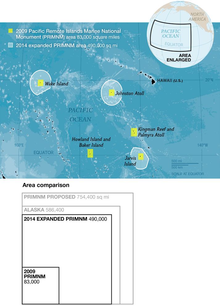MAGGIE SMITH, NG STAFF. SOURCES: U.S. FISH AND WILDLIFE SERVICE; USGS; MARINE CONSERVATION INSTITUTE / Ocean Great Ideas