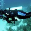 Scuba diving to the depths of my spirit / Ocean Great&nbsp;Ideas